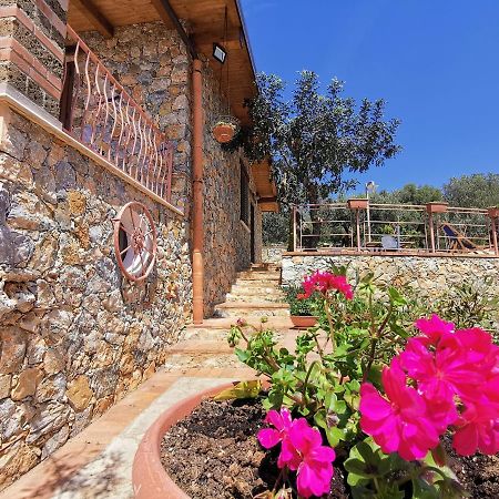 Villetta Starza Marina di Camerota Eksteriør bilde