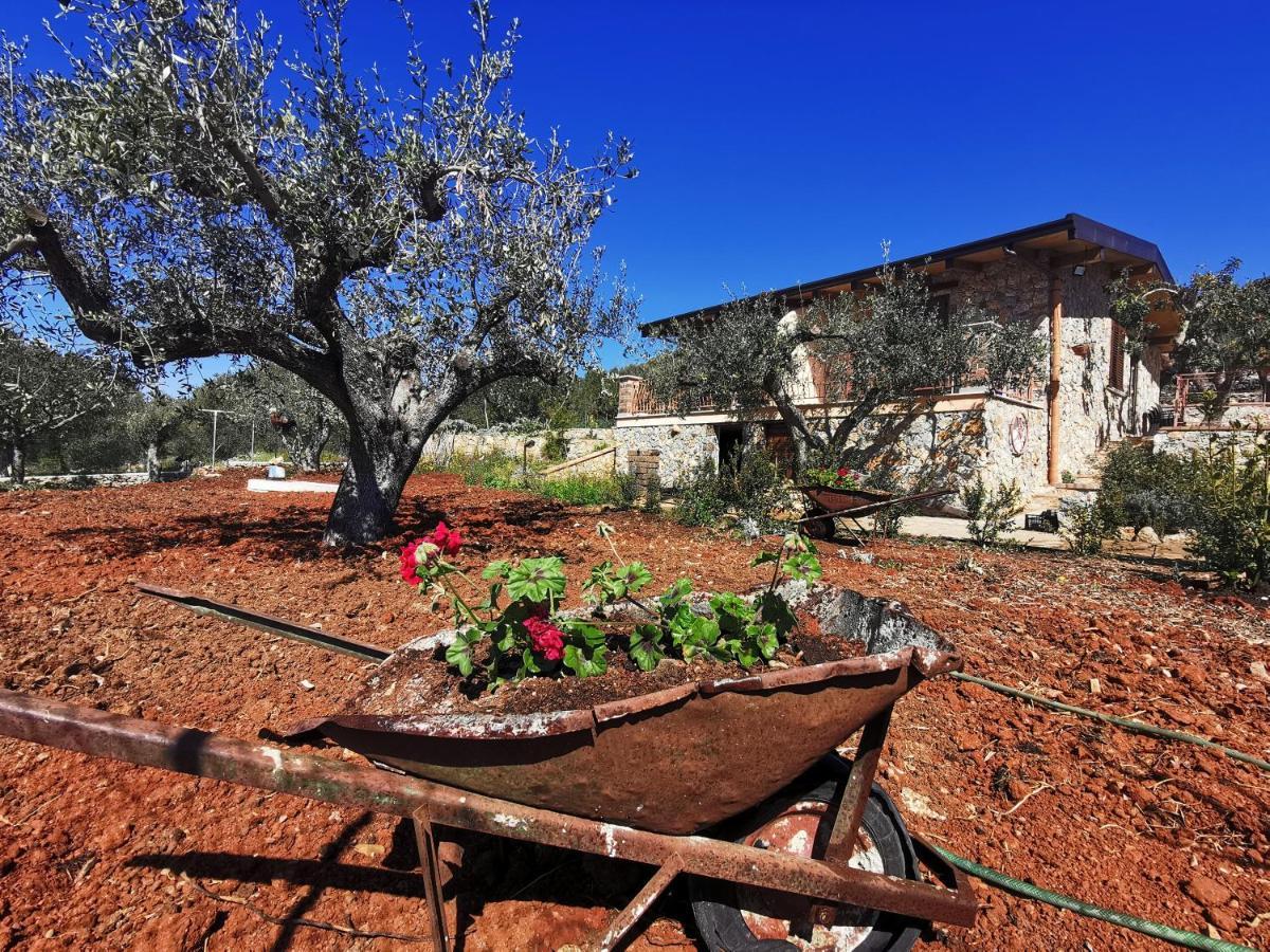 Villetta Starza Marina di Camerota Eksteriør bilde